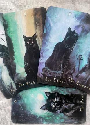 Гадальні карти таро примарного кота haunted Housses cat tarot таро з котиками котами колода карт3 фото