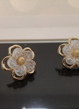 Сережки гвоздики