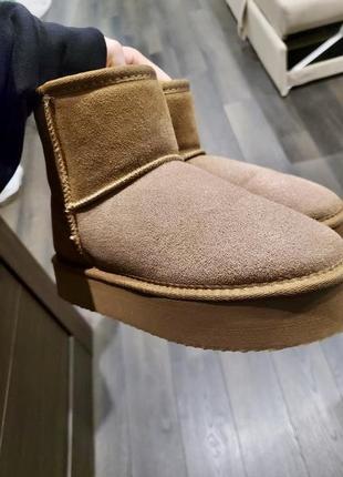 Ugg угги на платформе reserved3 фото