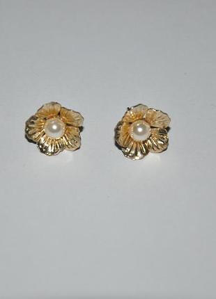 Сережки гвоздики
