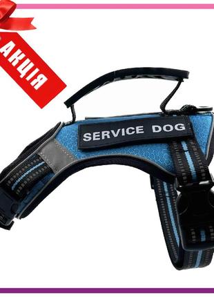 Шлейка для собак service dog s, m, l, xl, блакитна, шлея для собак, нагрудник для середніх порід1 фото