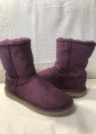 Угги ugg classic6 фото