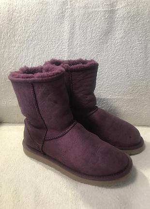 Уггі ugg classic