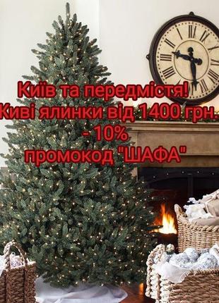 Елка живая нордман. живая точилка. киев, ирпедь, гостомель, вишневое, чайки.