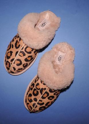 Тапки тапочки ugg skuffette ii утепленные