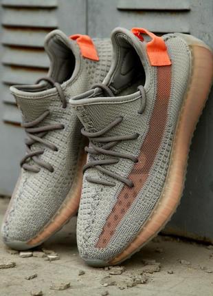 Кросівки adidas yeezy boost 350 v2 true form кросівки1 фото