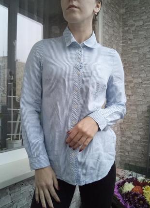 Стильна сорочка в смужку рубашка в полоску3 фото