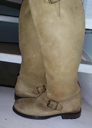 Нубукові високі чоботи преміального бренду billibi(данія) 40 розмір