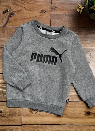 Свитшот, кофта puma на мальчика