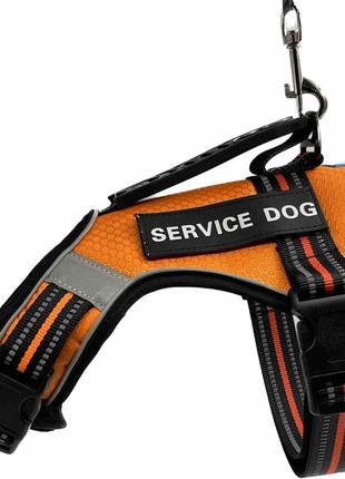 Шлейка для собак service dog s, m, l, xl, помаранчева, шлея для собак, нагрудник для середніх порід5 фото