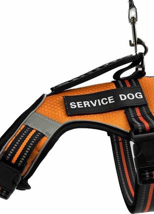 Шлейка для собак service dog s, m, l, xl, помаранчева, шлея для собак, нагрудник для середніх порід2 фото