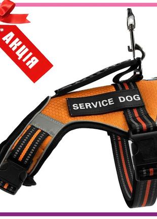 Шлейка для собак service dog s, m, l, xl, помаранчева, шлея для собак, нагрудник для середніх порід4 фото