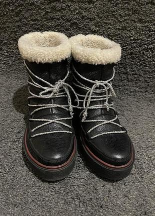 Сапожки від ugg