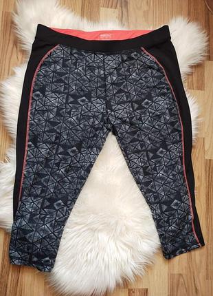 Легінси.