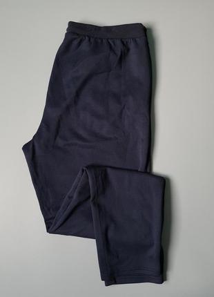 Чоловічі спортивні штани джоггери crivit німеччина, р. xl 56/588 фото