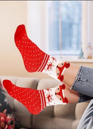 Креативные новогодние носки лисенок (35-40)