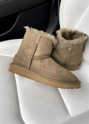 Ugg zip premium ♥️♥️♥️