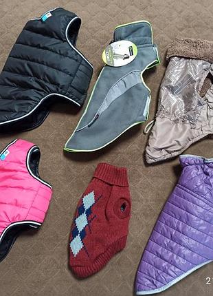 Жилетка, помпона для собак, подарок