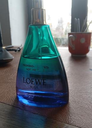 Loewe agua miami