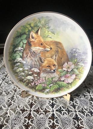 Дві колекціонеіпорцелянові тарілки з зібраженням лис argyle англія