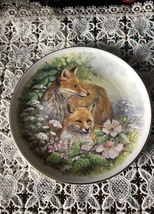 Дві колекціонеіпорцелянові тарілки з зібраженням лис argyle англія