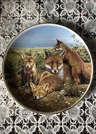 Дві колекціонеіпорцелянові тарілки з зібраженням лис argyle англія