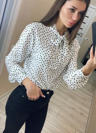 Блуза в горошек boohoo