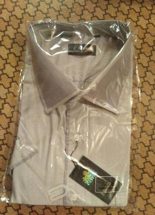 Біла теніска із сірим коміром у клітинку