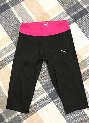 Puma лосіни 8