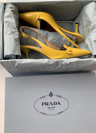 Слінгбекі  prada