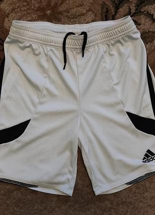 Шорты спортивные adidas