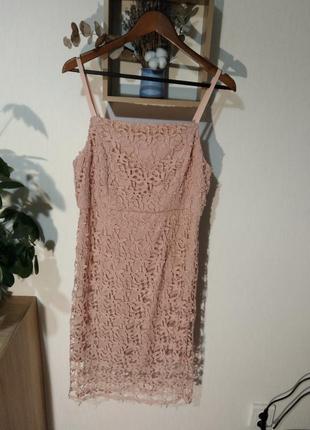 Женское платье с кружевом papaya размер 14 42 хл