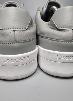 Шикарні кросівки lacoste4 фото