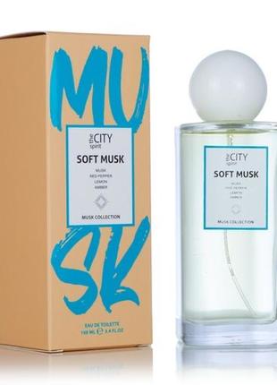 Туалетна вода жіноча the city spirit soft musk 100 мл парфуми для жінок духи1 фото