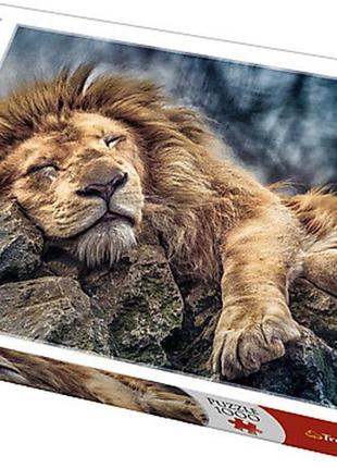 Пазли - (1000 елм.) - "сплячий лев"