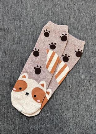 Шкарпетки з принтом кішка
