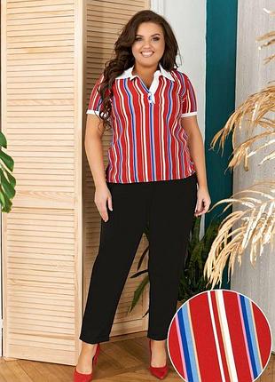 Модный повседневный брючный костюм разные цвета