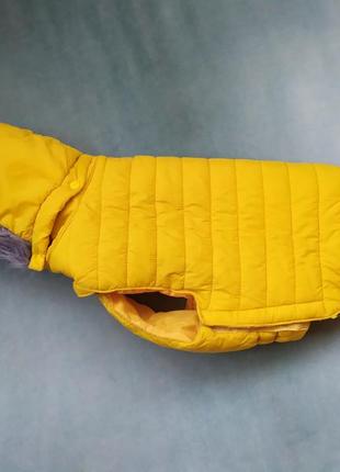 Zolux quilted dog jacket urban куртка зимова одяг для собаки2 фото