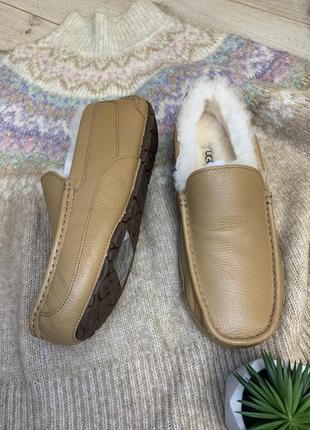 Уггі угги чоботи чоловічі мокасини ugg mens ascot sheepskin slipper  1103889