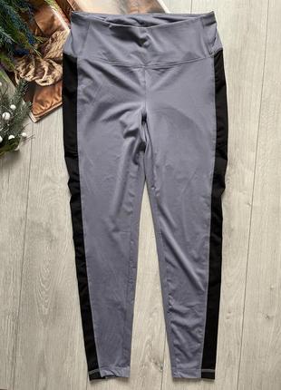 Лосіни crivit sport