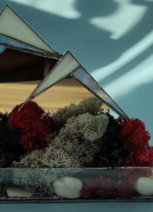 Флораріум, моссаріум