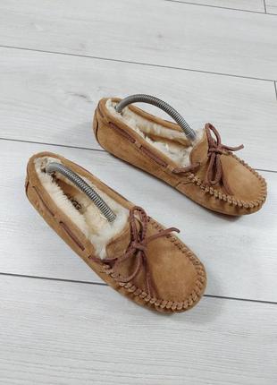 Натуральные тапочки ugg оригинал2 фото