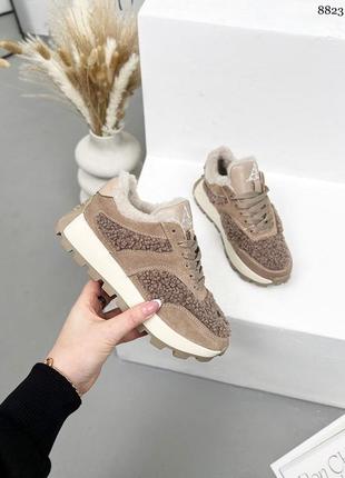 Зимние женские кроссовки с мехом teddy 8823