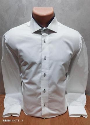 Ексклюзивна біла бавовняна сорочка унікального голландського бренду cavallaro napoli4 фото