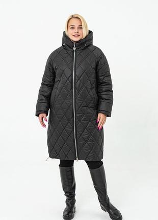 Зимове жіноча куртка 50-58