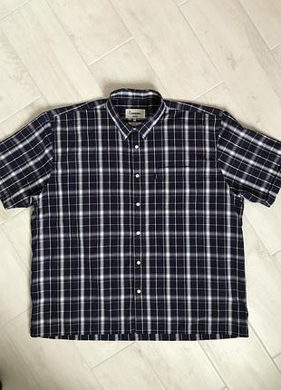 Champion, чудесная, мужская рубашка с коротким рукавом, в клетку.