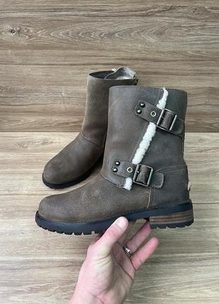 Ботинки сапоги ugg1 фото