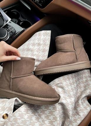 Угги ugg classic mini brown chocolate