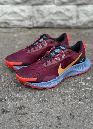 Nike pegasus trail 3