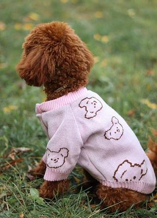 Свитер для собак с мишками